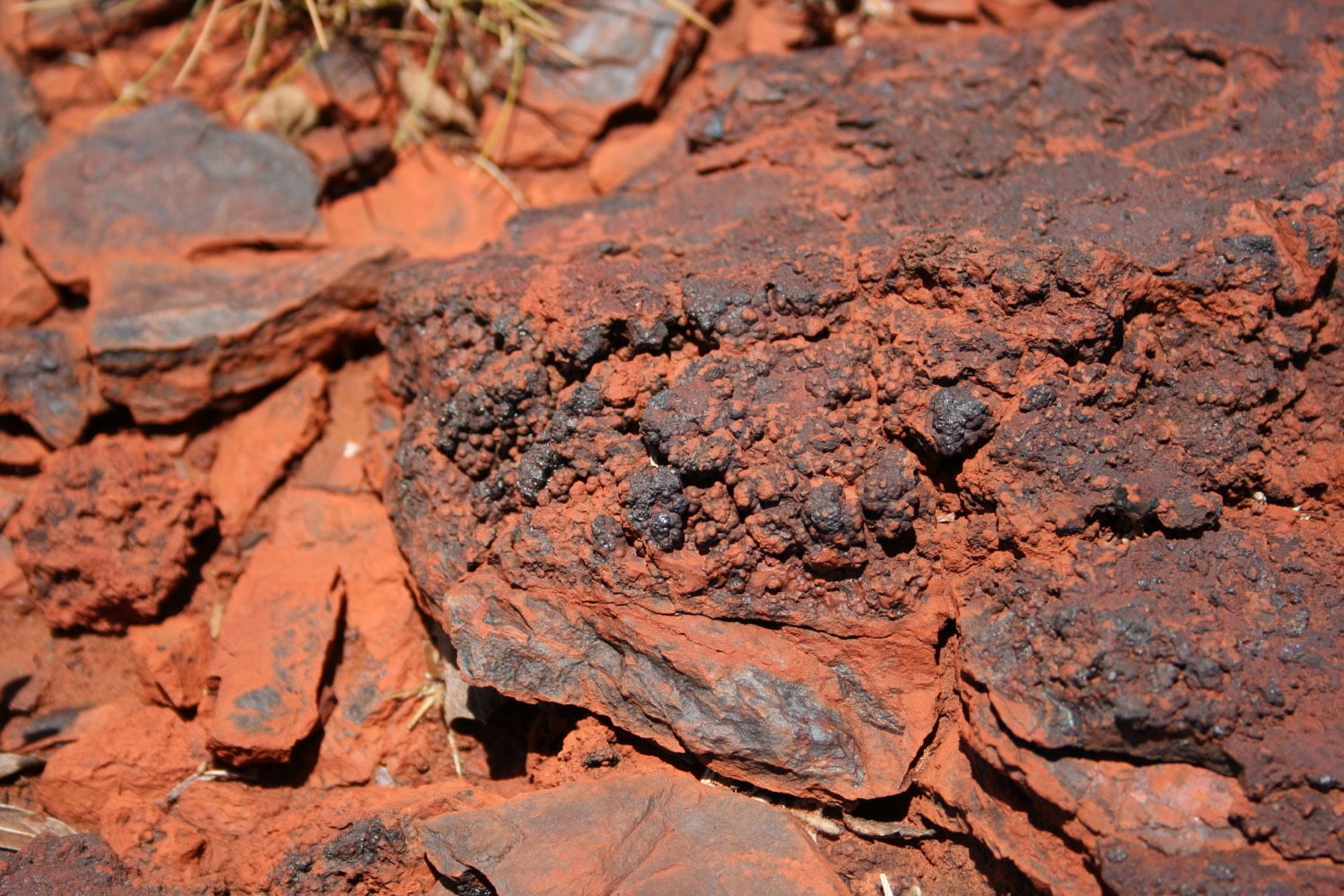 Pisolitic iron ore