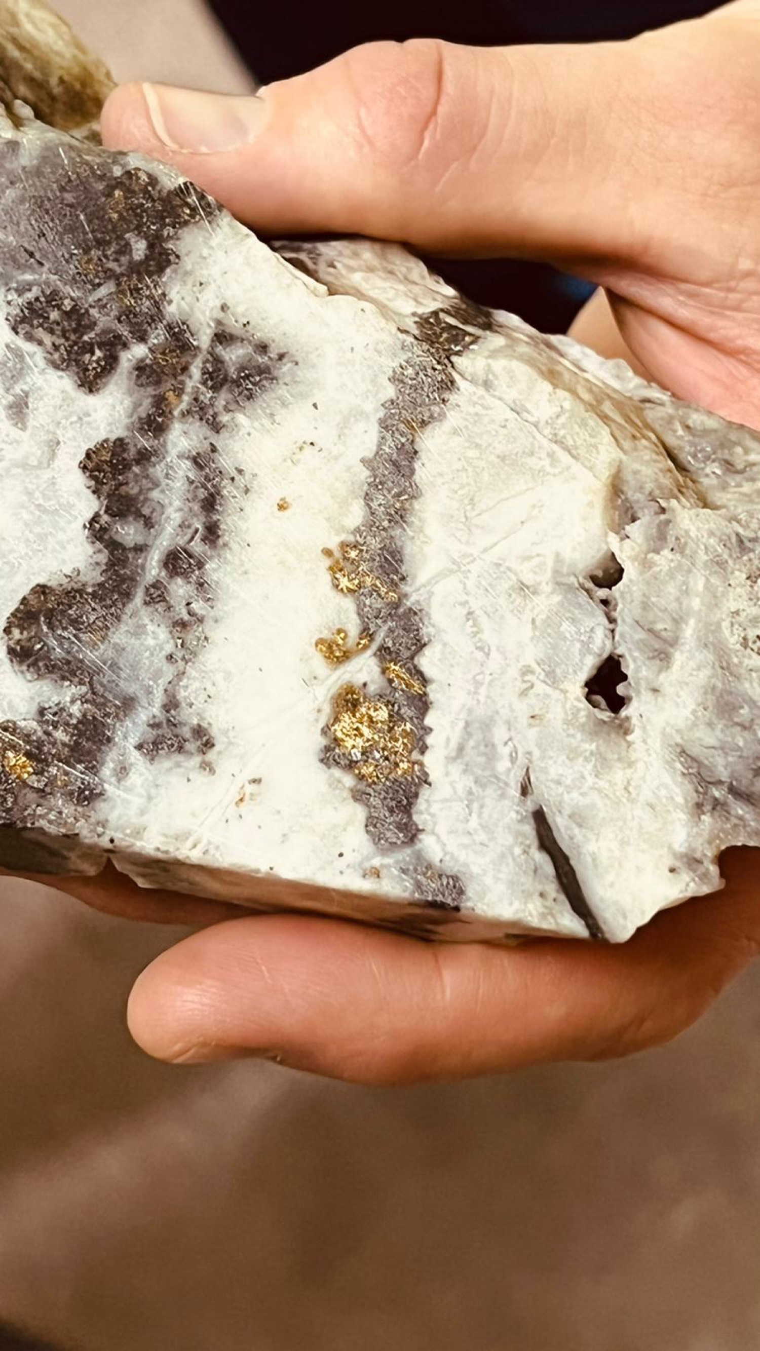 Visible gold in quartz